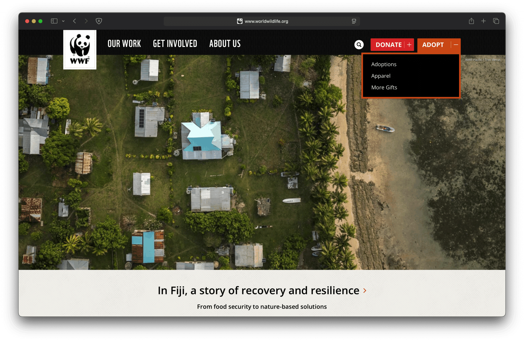 Examples of High-Performing Nonprofit Websites - worldwildlife Website